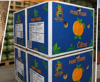 PURE FOODS citrus export cartons