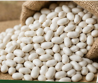 White beans from PURE FOODS